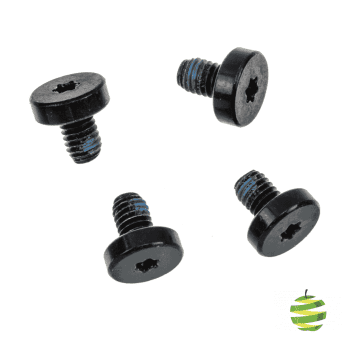 923-0334 Vis Torx T10 pour la charnière de l'iMac 21 pouces A1418 (2012-2017)
